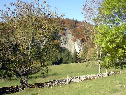 cliquez ici pour fermer la fenêtre