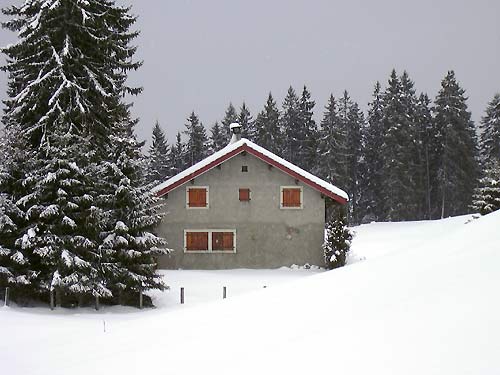 Cliquez ici pour revoir le chalet