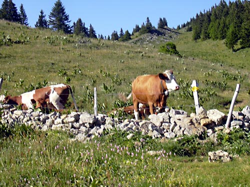 cliquez ici pour fermer la fenêtre
