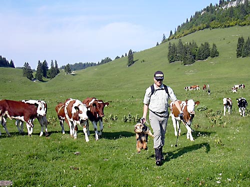 cliquez ici pour fermer la fenêtre