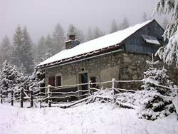 Maison/chalet typique des Loges  ( **** )