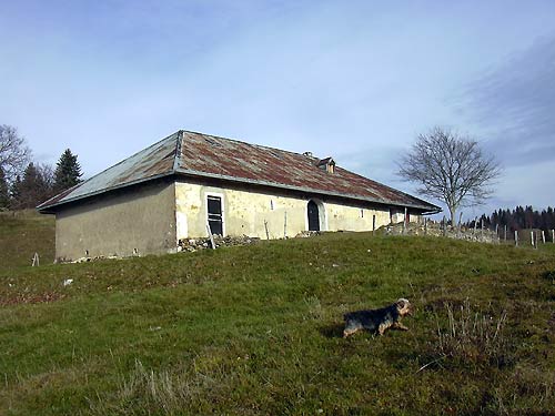cliquez ici pour fermer la fenêtre