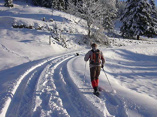 cliquez ici pour fermer la fenêtre