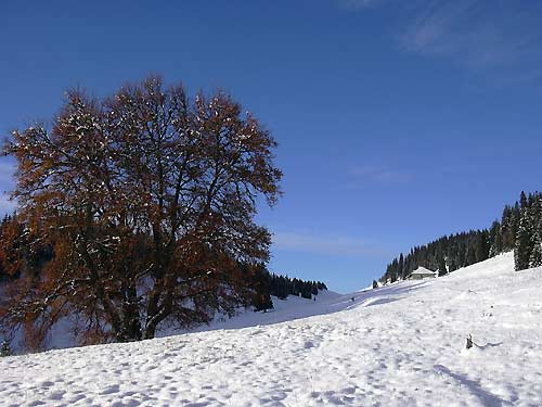 cliquez ici pour fermer la fenêtre