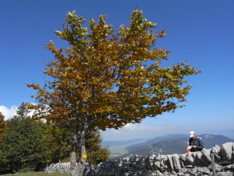 Rando Creux du Van