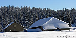  Rando Jura 2005, paysages d'hivers