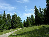 Randonnées dans le Jura, Mont d'Or